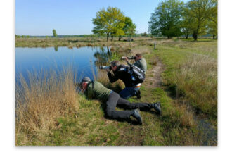 Dwingelderveld voer voor Ootmarsumse vogelaars