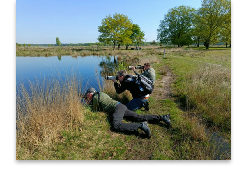 Dwingelderveld voer voor Ootmarsumse vogelaars