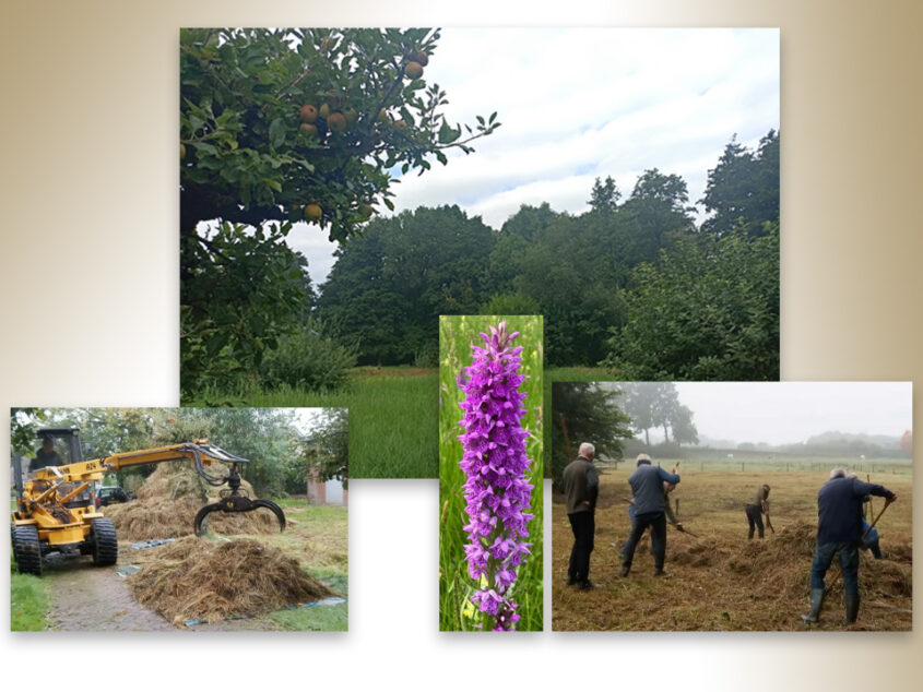 Vrijwilligers aan de natuurlijke basis beekdal Appellaantje