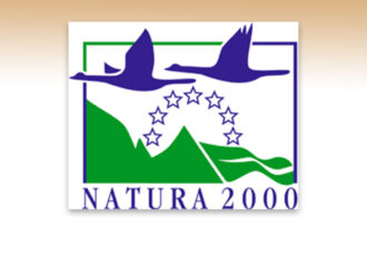 Definitief Inpassingsplan Natura 2000 voor deelgebieden Lattrop/Breklenkamp