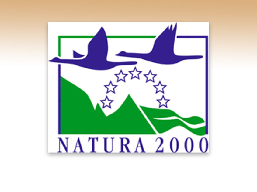 Definitief Inpassingsplan Natura 2000 voor deelgebieden Lattrop/Breklenkamp