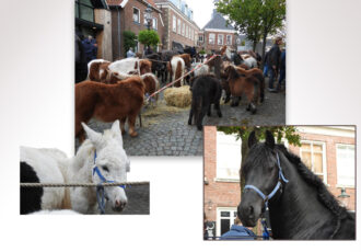 Veel aanvoer paardenmarkt start rustige kermis