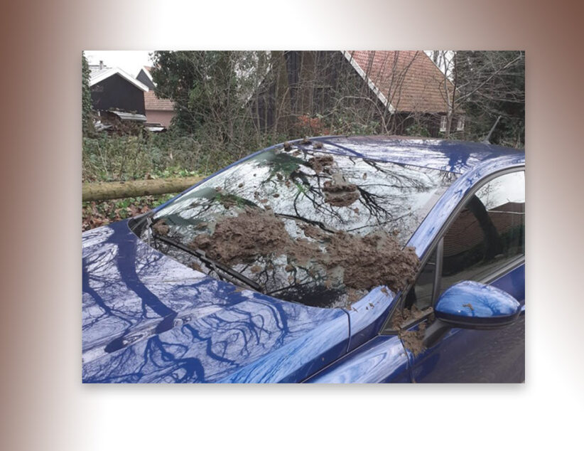 Auto’s vrijwilligers Landschap Overijssel  besmeurt met stront