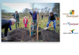 Samen bomen planten met subsidie