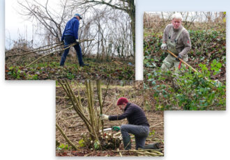 Landschapsonderhoud Molenbeekdal