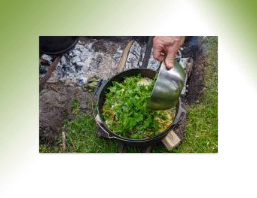 Koken op het kampvuur met eetbare wilde planten