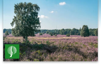 Genieten van het paarse schoon tijdens heidewandeling