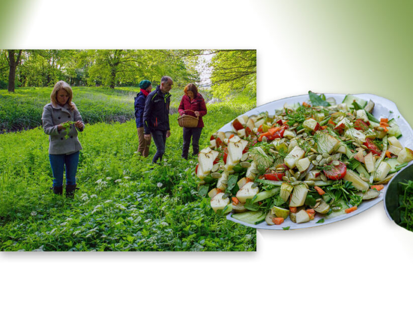 Eetbare wilde planten        