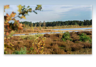 Op stap in de Bergvennen