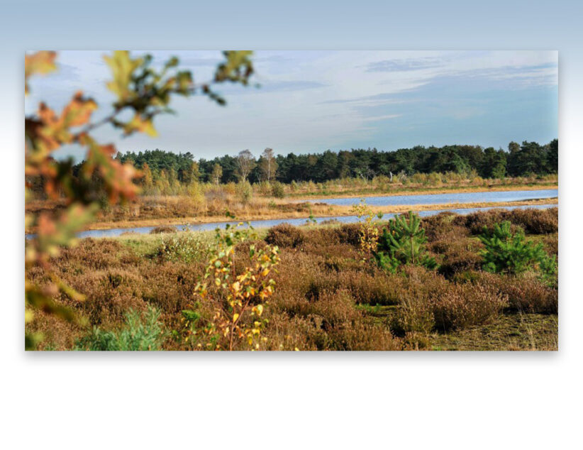 Op stap in de Bergvennen