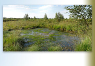 Grensoverschrijdend project Aamsveen van start