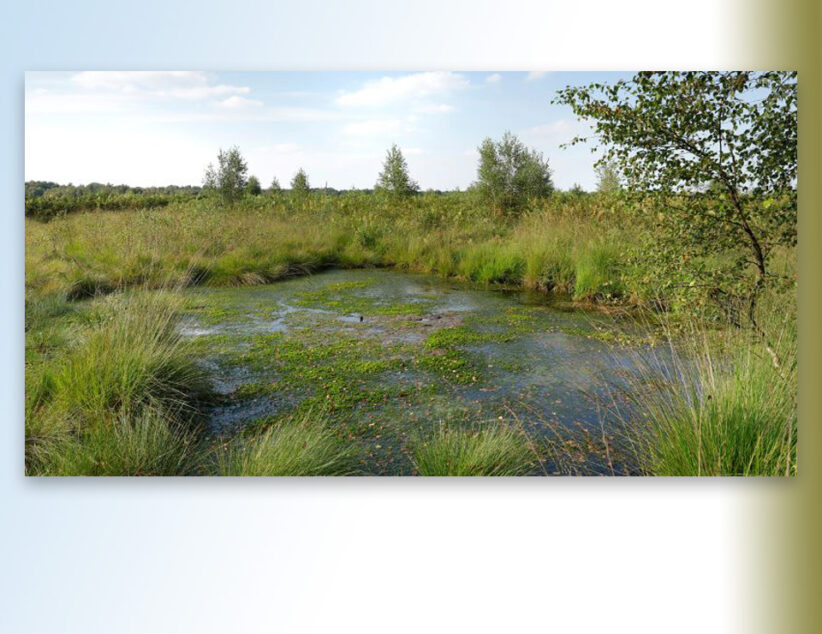 Grensoverschrijdend project Aamsveen van start