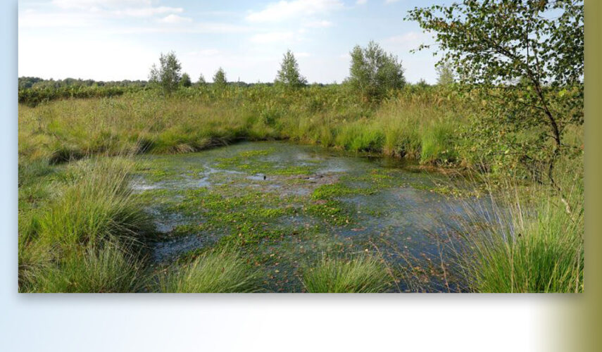 Grensoverschrijdend project Aamsveen van start