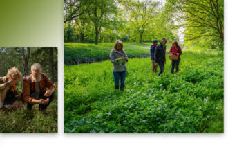 Seizoenswandeling eetbare wilde planten