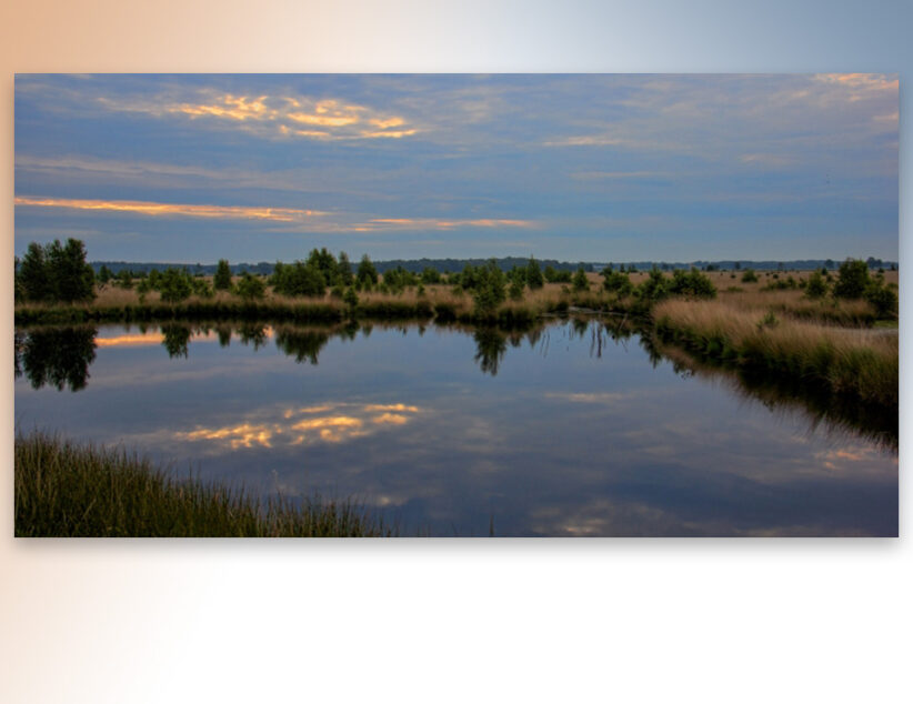 Ontwerp-projectbesluit voor Natuurherstel Engbertsdijksvenen interne maatregelen ter inzage