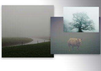 Foto’s in de mist hebben hun eigen charme