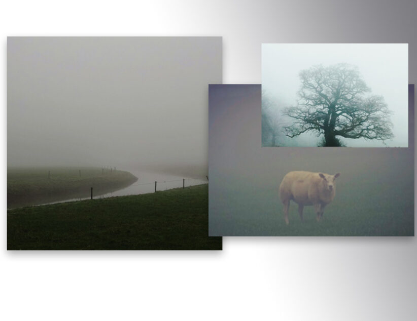 Foto’s in de mist hebben hun eigen charme