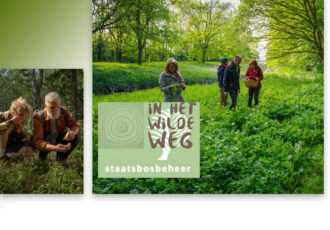 Wildplukwandeling in het Drents Friese Wold