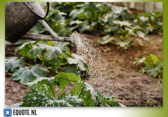 Handige tips om de mooiste tuin in Ootmarsum te krijgen