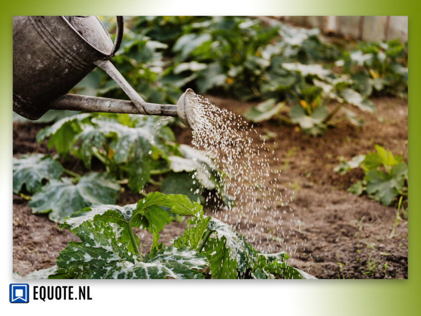 Handige tips om de mooiste tuin in Ootmarsum te krijgen